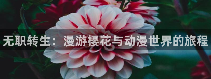 无限动漫网 樱花动漫：无职转生：漫游樱花与动漫世界的旅程