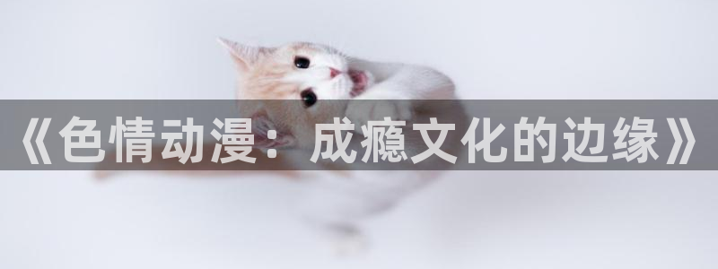 高h动漫樱花动漫：《色情动漫：成瘾文化的边缘》