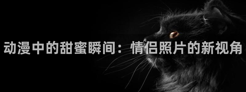 饿狼传说2ova樱花动漫：动漫中的甜蜜瞬间：情侣照片的新视角