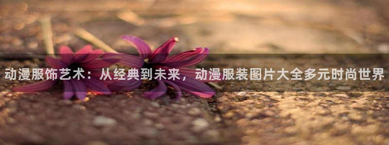 精灵宝可梦第2季免费观看樱花动漫：动漫服饰艺术：从经典到未来，动漫服装图片大全多元时尚世界