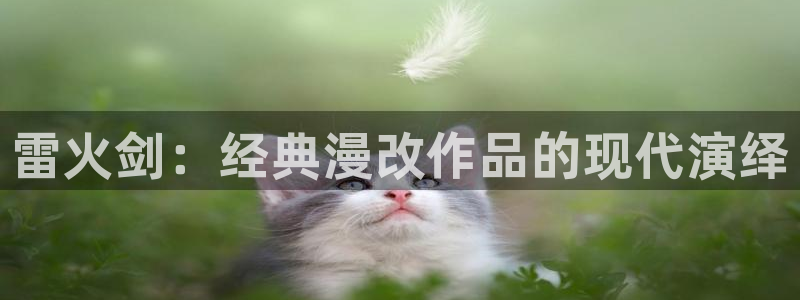 新闻图片