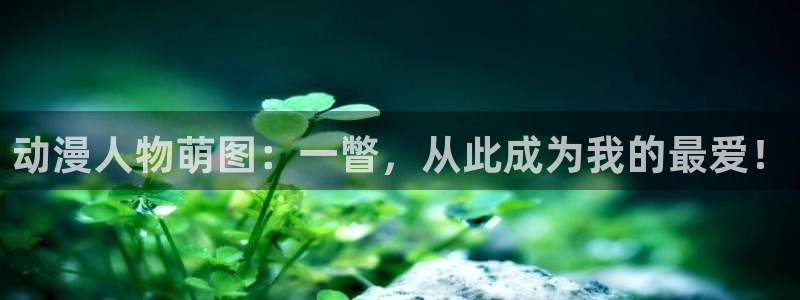 日在夏天樱花动漫：动漫人物萌图：一瞥，从此成为我的最爱！